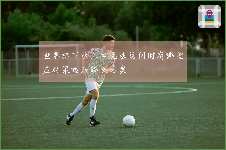 世界杯下注入口无法访问时有哪些应对策略和解决方案