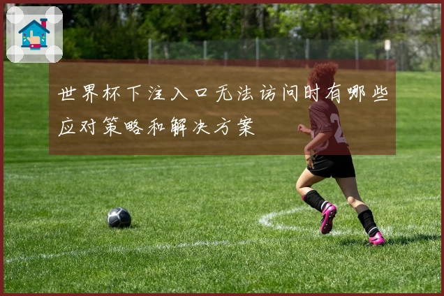 世界杯下注入口无法访问时有哪些应对策略和解决方案